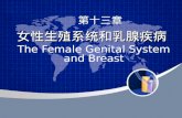 女性生殖系统和乳腺疾病  The Female Genital System and Breast