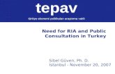 Need for RIA and Public Consultation in Turkey
