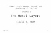 The Metal Layers