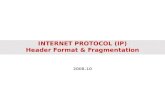 INTERNET PROTOCOL (IP) Header Format & Fragmentation