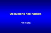 Occlusions néo-natales