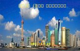 探討 中國（上海）自由貿易試驗區
