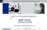 SAP FICO  高端实战课程