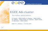 EGEE AA cluster