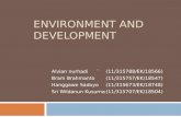 Environment and development