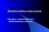 Bioinformática estructural