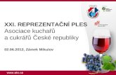 XXI. REPREZENTAČNÍ PLES Asociace kuchařů  a cukrářů České republiky 02.06.2012, Zámek Mikulov
