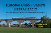 EURÓPAI UNIÓ – VASÚTI LIBERALIZÁCIÓ Vasúti iparág helyzete Magyarországon