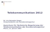 Telekommunikation 2012