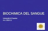 BIOCHIMICA DEL SANGUE Università di Cassino A.A. 2010-11