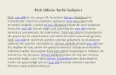 Türk Dilinin Tarihi Gelişimi