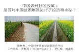 中国农村社区改革： 是否对中国贫困地区进行了投资和补贴？