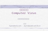 计算机病毒 Computer Virus