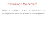 Evoluzione Molecolare