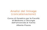 Analisi del linkage (concatenazione)