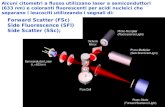 Forward Scatter (FSc) Side Fluorescence (SFl) Side Scatter (SSc);