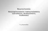 Neurochemie: Neurop ř ena š e č e: katecholaminy ( serotonin, acetylcholin, histamin )