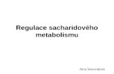 Regulace sacharidového metabolismu