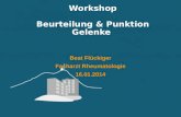 Workshop Beurteilung & Punktion Gelenke