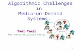 Algorithmic Challenges in  Media-on-Demand Systems.