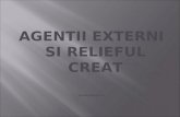 AGENTII EXTERNI SI RELIEFUL CREAT Preluat  didactic.ro