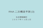 RNA 二次構造予測 (3)