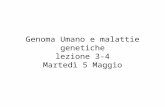 Genoma Umano e malattie genetiche lezione 3-4 Martedì 5 Maggio