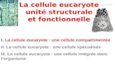 I. La cellule eucaryote : une cellule compartimentée