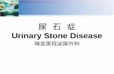 尿  石  症 Urinary Stone Disease