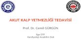 AKUT KALP YETMEZLİĞİ TEDAVİSİ Prof. Dr. Cemil GÜRGÜN Ege ÜTF  Kardiyoloji Anabilim Dalı