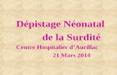 Dépistage Néonatal   de la Surdité Centre Hospitalier d’Aurillac  21 Mars 2014
