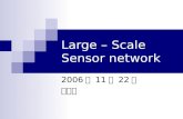 Large  –  Scale Sensor network