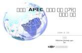 성공적  APEC  개최를 위한 국가와 도시의 전략