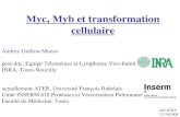 Myc, Myb et transformation cellulaire
