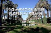 水稻 osRACK1 蛋白的 表达纯化及功能研究