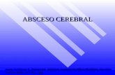 ABSCESO CEREBRAL