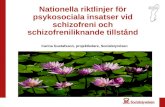 Nationella riktlinjer för psykosociala insatser vid schizofreni och schizofreniliknande tillstånd