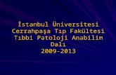 İstanbul Üniversitesi Cerrahpaşa Tıp Fakültesi Tıbbi Patoloji Anabilim Dalı 2009-2013