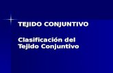 TEJIDO CONJUNTIVO Clasificación del Tejido Conjuntivo