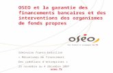 Séminaire franco-brésilien  « Mécanismes de financement  Des créations d’entreprises »
