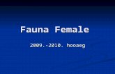 Fauna  Female