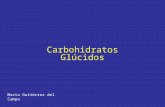 Carbohidratos Glúcidos