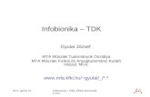 Infobionika – TDK