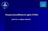 Temporomandibularni zglob (TMZ) prof. dr. sc. Stipan Janković