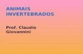 ANIMAIS  INVERTEBRADOS Prof. Claudio Giovannini
