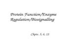 Protein Function/Enzyme     Regulation/Biosignalling