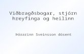 Viðbragðsbogar, stjórn hreyfinga og heilinn
