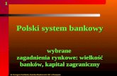 Polski system bankowy wybrane  zagadnienia rynkowe: wielkość banków, kapitał zagraniczny