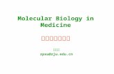 Molecular Biology in Medicine 医学分子生物学