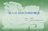 嵌入式 ARM 内核的概述